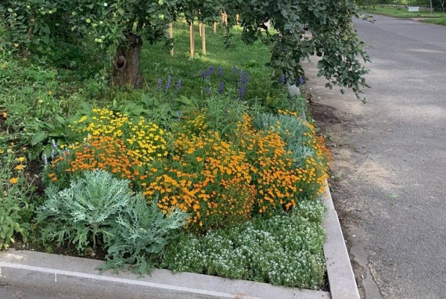 В Ботаническом саду МГУ возобновятся занятия Школы юного садовника